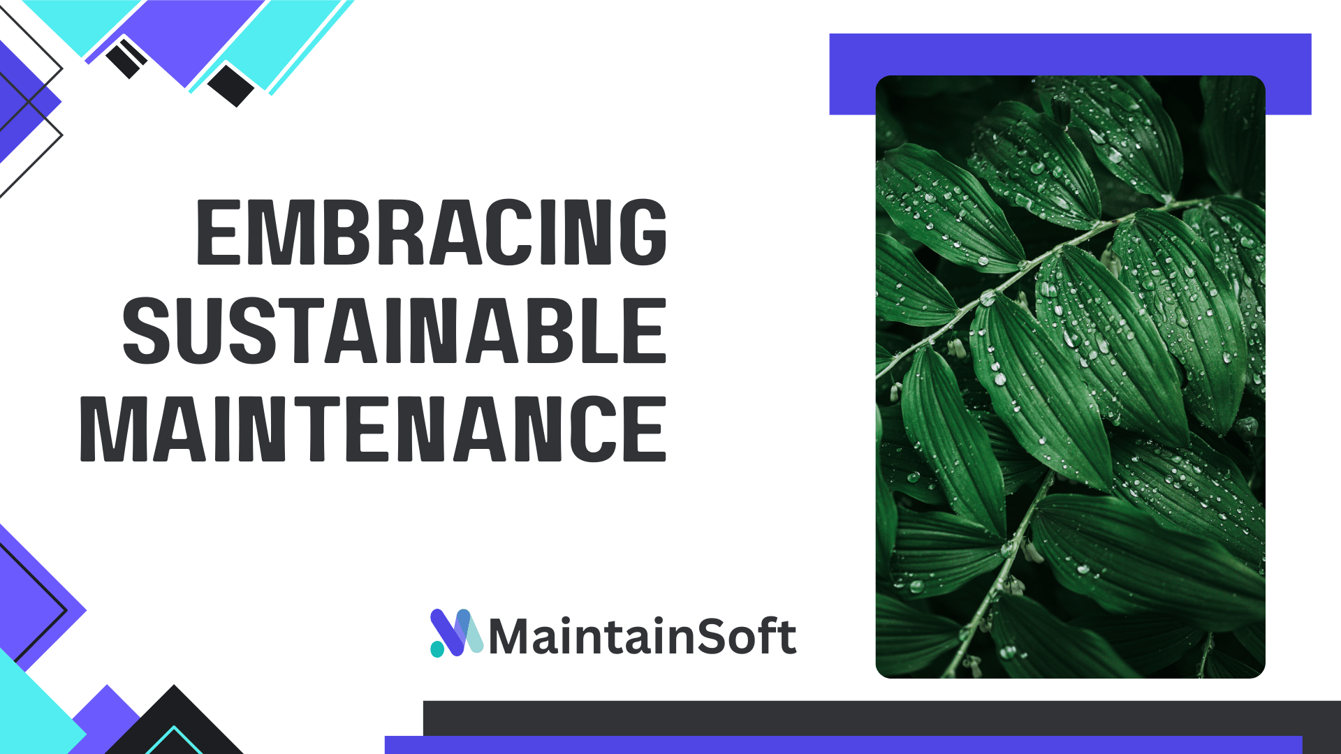 Embracing Sustainable Maintenance poster featuring bold black title text on a white background with blue, purple, and black geometric accents on the left, a photo of green leaves with water droplets on the right, and the MaintainSoft logo at the bottom center.
